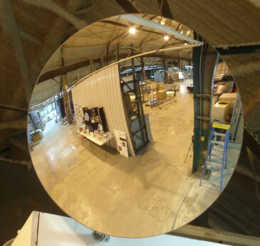 convex mirror - plant (1)