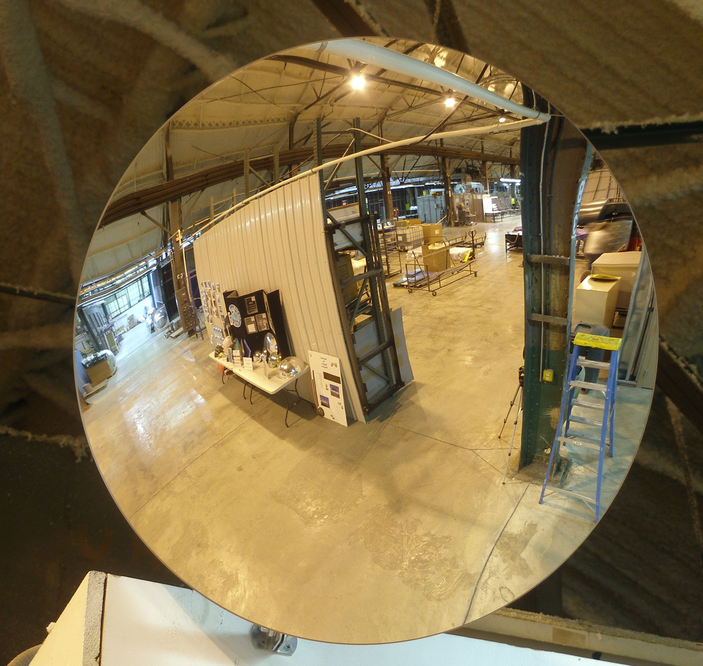 convex mirror - plant (1)